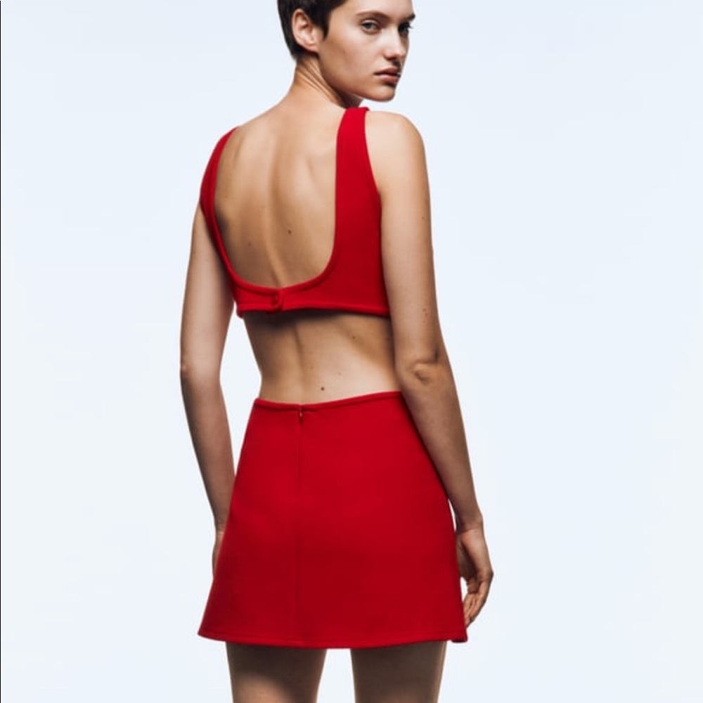 Zara new cut out dress